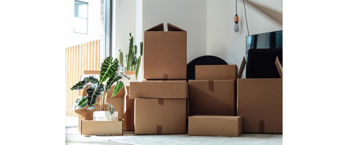 Moving Into Ocala’s Newest Communities? Why Storage Should Be Part of Your Plan
